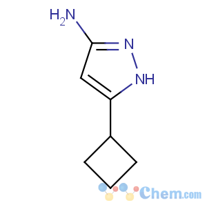 CAS No:326827-21-8 5-cyclobutyl-1H-pyrazol-3-amine