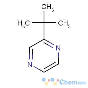 CAS No:32741-11-0 2-tert-butylpyrazine