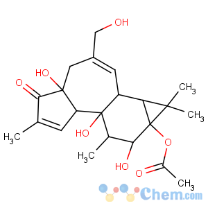 CAS No:32752-29-7 5H-Cyclopropa[3,4]benz[1,2-e]azulen-5-one,9a-(acetyloxy)-1,1a,1b,4,4a,7a,7b,8,9,9a-decahydro-4a,7b,9-trihydroxy-3-(hydroxymethyl)-1,1,6,8-tetramethyl-,(1aR,1bS,4aR,7aS,7bS,8R,9R,9aS)-