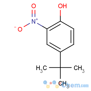 CAS No:3279-07-0 4-tert-butyl-2-nitrophenol