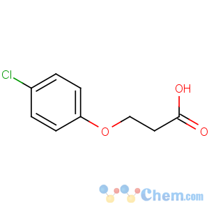 CAS No:3284-79-5 3-(4-chlorophenoxy)propanoic acid