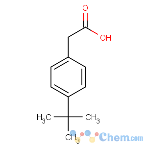 CAS No:32857-63-9 2-(4-tert-butylphenyl)acetic acid