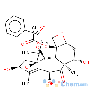 CAS No:32981-86-5 10-Deacetylbaccatin III