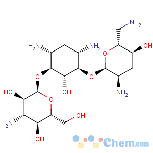 CAS No:32986-56-4 Tobramycin