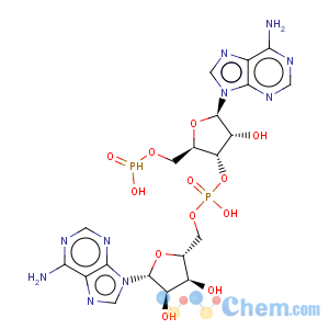 CAS No:33009-07-3 Adenosine Adenylyl-(3'->