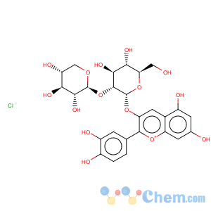 CAS No:33012-73-6 1-Benzopyrylium,2-(3,4-dihydroxyphenyl)-5,7-dihydroxy-3-[(2-O-b-D-xylopyranosyl-b-D-glucopyranosyl)oxy]-, chloride (1:1)