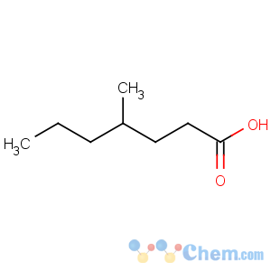 CAS No:3302-03-2 Heptanoic acid,4-methyl-