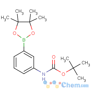 CAS No:330793-09-4 tert-butyl<br />N-[3-(4,4,5,5-tetramethyl-1,3,2-dioxaborolan-2-yl)phenyl]carbamate