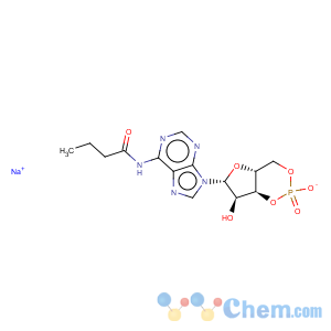 CAS No:33116-16-4 Adenosine N-(1-Oxobutyl)- Cyclic 3',5'-(Hydrogen Phosphate) Sodium Salt