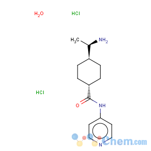 CAS No:331752-47-7 Cyclohexanecarboxamide,4-[(1R)-1-aminoethyl]-N-4-pyridinyl-, hydrochloride, hydrate (1:2:1), trans-