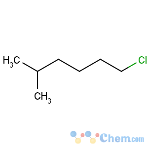 CAS No:33240-56-1 1-chloro-5-methylhexane