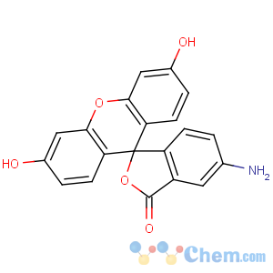 CAS No:3326-34-9 6-amino-3',6'-dihydroxyspiro[2-benzofuran-3,9'-xanthene]-1-one