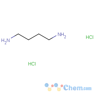 CAS No:333-93-7 butane-1,4-diamine