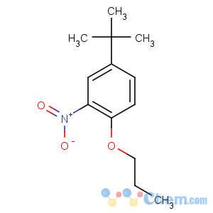 CAS No:33353-60-5 4-tert-butyl-2-nitro-1-propoxybenzene