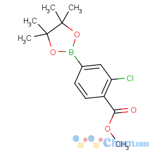 CAS No:334018-52-9 methyl 2-chloro-4-(4,4,5,5-tetramethyl-1,3,2-dioxaborolan-2-yl)benzoate