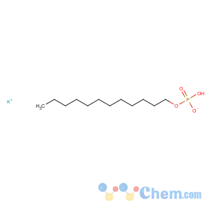 CAS No:33403-10-0 Dodecyl Dihydrogen Phosphate Potassium Salt