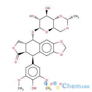 CAS No:33419-42-0 Etoposide