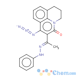 CAS No:335151-79-6 1-Azido-2-[1-(phenyl-hydrazono)-ethyl]-6,7-dihydro-5H-pyrido[3,2,1-ij]quinolin-3-one