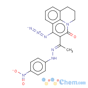 CAS No:335151-82-1 1-Azido-2-{1-[(4-nitro-phenyl)-hydrazono]-ethyl}-6,7-dihydro-5H-pyrido[3,2,1-ij]quinolin-3-one