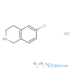 CAS No:33537-97-2 6-chloro-1,2,3,4-tetrahydroisoquinoline