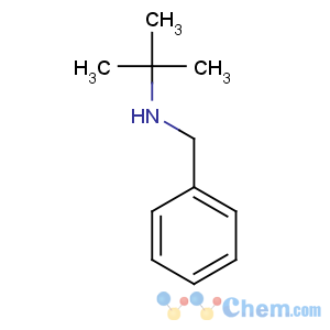 CAS No:3378-72-1 N-benzyl-2-methylpropan-2-amine