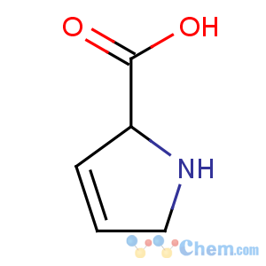 CAS No:3395-35-5 2,5-dihydro-1H-pyrrole-2-carboxylic acid