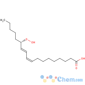 CAS No:33964-75-9 9,11-Octadecadienoicacid, 13-hydroperoxy-, (9Z,11E,13S)-