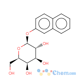 CAS No:33993-25-8 b-D-Galactopyranoside,2-naphthalenyl