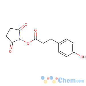 CAS No:34071-95-9 (2,5-dioxopyrrolidin-1-yl) 3-(4-hydroxyphenyl)propanoate