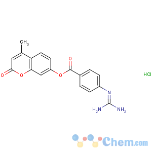 CAS No:34197-46-1 (4-methyl-2-oxochromen-7-yl)<br />4-(diaminomethylideneamino)benzoate
