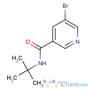 CAS No:342013-78-9 5-bromo-N-tert-butylpyridine-3-carboxamide