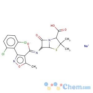 CAS No:343-55-5 Dicloxacillin sodium
