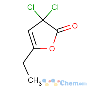 CAS No:34619-39-1 2(3H)-Furanone,3,3-dichloro-5-ethyldihydro-
