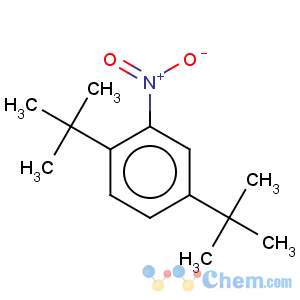 CAS No:3463-35-2 Benzene,1,4-bis(1,1-dimethylethyl)-2-nitro-