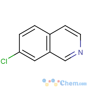 CAS No:34784-06-0 7-chloroisoquinoline