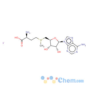 CAS No:3493-13-8 Adenosine,5'-[[(3S)-3-amino-3-carboxypropyl]methylsulfonio]-5'-deoxy-, iodide (1:1)