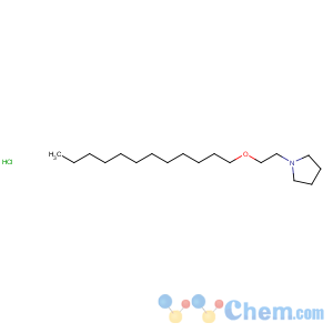 CAS No:34965-01-0 Pyrrolidine,1-[2-(dodecyloxy)ethyl]-, hydrochloride (1:1)