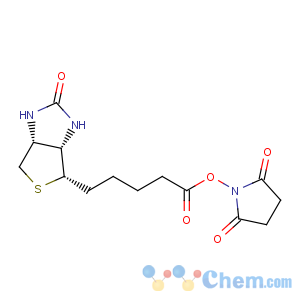 CAS No:35013-72-0 (+)-Biotin N-hydroxysuccinimide ester