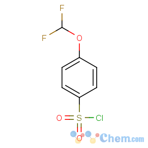 CAS No:351003-34-4 4-(difluoromethoxy)benzenesulfonyl chloride