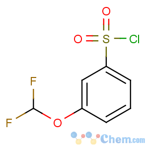 CAS No:351003-38-8 3-(difluoromethoxy)benzenesulfonyl chloride
