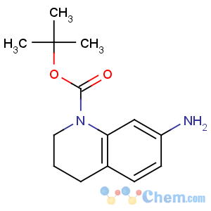 CAS No:351324-70-4 tert-butyl 7-amino-3,4-dihydro-2H-quinoline-1-carboxylate