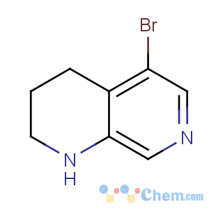 CAS No:351457-97-1 5-bromo-1,2,3,4-tetrahydro-1,7-naphthyridine