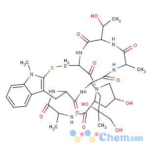 CAS No:35167-13-6 Phalloidin,6-(2-mercapto-1-methyl-L-tryptophan)- (9CI)