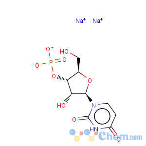 CAS No:35170-03-7 uridine 3-monophosphate sodium