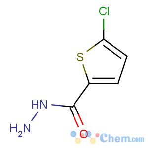 CAS No:351983-31-8 5-chlorothiophene-2-carbohydrazide