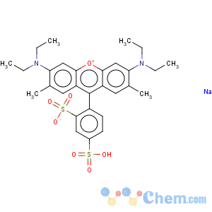 CAS No:3520-42-1 Sulforhodamine B