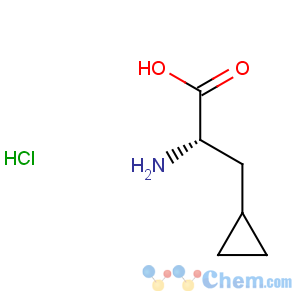 CAS No:352525-31-6 Cyclopropanepropanoic acid, a-amino-,hydrochloride (1:1), (aS)-