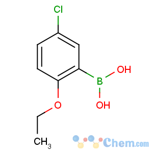 CAS No:352534-86-2 (5-chloro-2-ethoxyphenyl)boronic acid