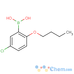 CAS No:352534-88-4 (2-butoxy-5-chlorophenyl)boronic acid