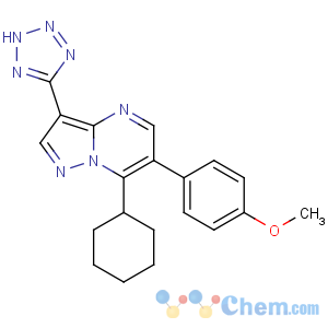 CAS No:352535-06-9 7-cyclohexyl-6-(4-methoxyphenyl)-3-(2H-tetrazol-5-yl)pyrazolo[1,<br />5-a]pyrimidine